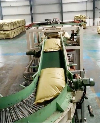 Palletizzatore automatico e personalizzabile per l'impianto di imballaggio 4100mm*1600mm*1450mm