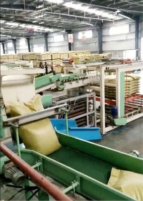 Palletizzatore automatico e personalizzabile per l'impianto di imballaggio 4100mm*1600mm*1450mm