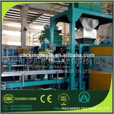 Macchina automatica di imballaggio in cocco da 16 kW per imballaggi in carta